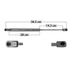 AMORTIGUADOR COFRE FD LOBO RAPTOR/F-150 RAPTOR 10-14 36.5 28 14.5 ENTRADA TIPO 9 ENTRADA 2 TIPO 9 610 137.13 62.2 550 123.64 56.08 SPART 8680 TUR Derecho/Izquierdo
